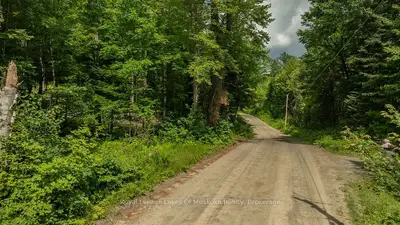 0000 Ril Lake Road S, Lake Of Bays, On P0b 1a0