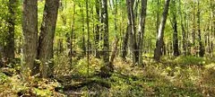 PT/Lot 21 Concession 3 Road, Drummond/North Elmsley, ON K7H 3C7