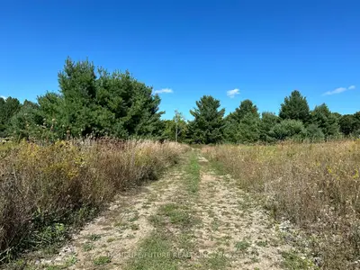 Vacant Land in Havelock-Belmont-Methuen