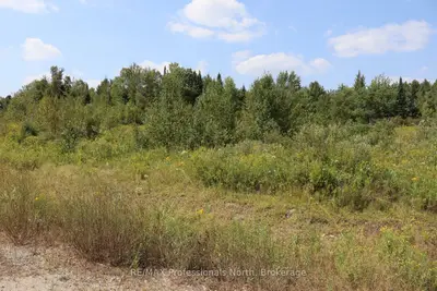 Vacant Land in Minden Hills