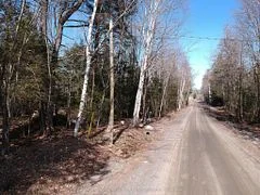 50 Concession 2 and 3 Road W, Huntsville, ON P1H 2J3