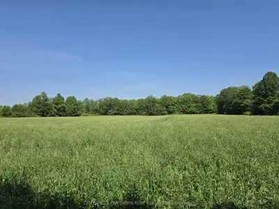 0 Shannonville Road, Tyendinaga, On K0k 1v0