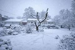 10773 Lakeshore Road, Wainfleet, On L0s 1v0