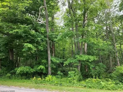 Vacant Land in Norfolk