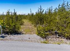 4270 Camden Portland Bdry Road, Stone Mills, ON K0H 1V0