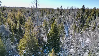 Lot 22 Ray Drive, Northern Bruce Peninsula, On N0h 2r0