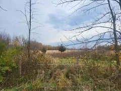 Lot 3 Bush Road, Rideau Lakes, On K0g 1e0