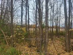 Lot 5 Bush Road, Rideau Lakes, On K0g 1e0
