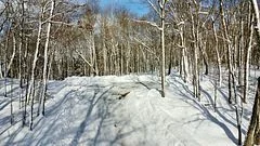 265 Sharon Drive, Huntsville, On P1h 2j6