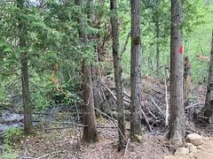 Lot 28 Concession 11 , Lake of Bays, ON P0A 1H0