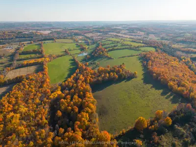 Pt Lt 23 & 24 County Road 24, Alnwick/haldimand, On K0k 2x0