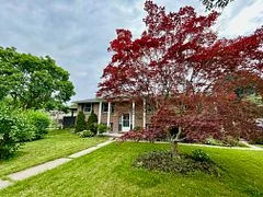 Detached in Kitchener