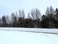 0 Division Street, Saugeen Shores, On N0h 2l0
