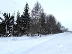 0 Division Street, Saugeen Shores, On N0h 2l0