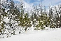 180 Bowles Bluff Road, Grey Highlands, On N0c 1h0