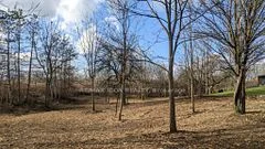 237 Frederick Street W, Southwest Middlesex, On N0l 1z0