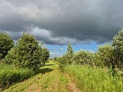 132681 Southgate Sideroad 13, Southgate, On N0c 1b0