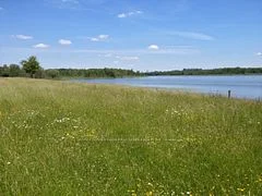 0 N O'Reilly Lane, Kawartha Lakes, ON K0M 2T0