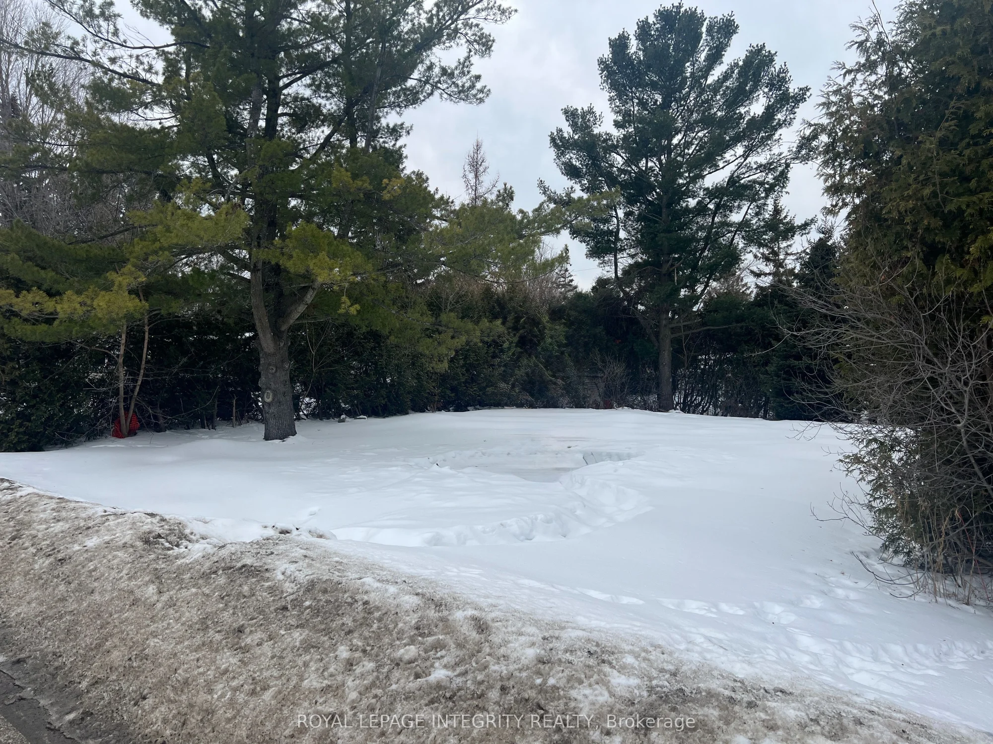 7 Fringewood Drive, Stittsville - Munster - Richmond, ON K2S 1T1