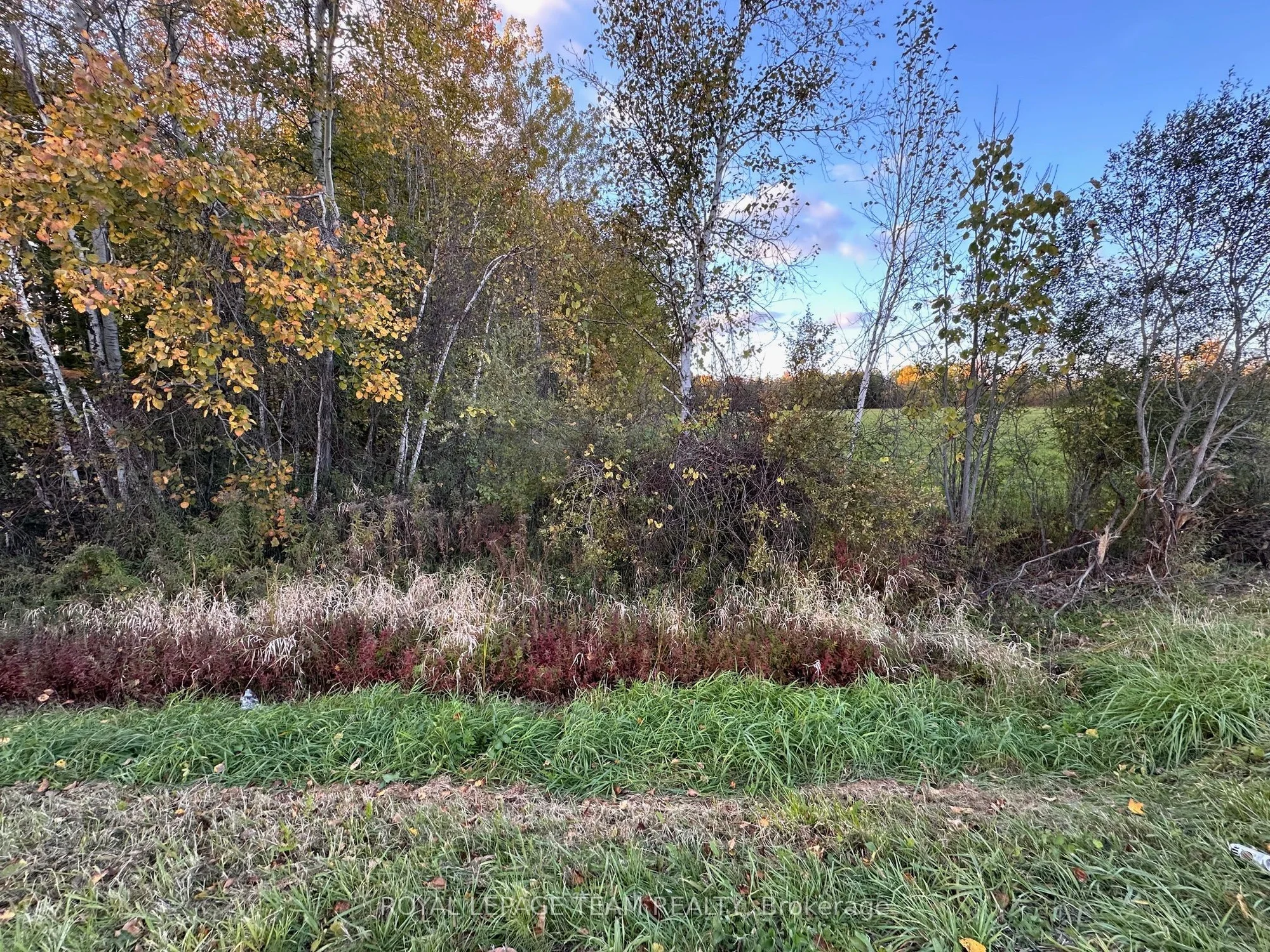 1667 County Road 20 Road, North Grenville, On K0g 1t0