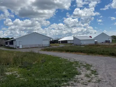 72 Baitleys Road N, Prince Edward County, On K0k 3l0