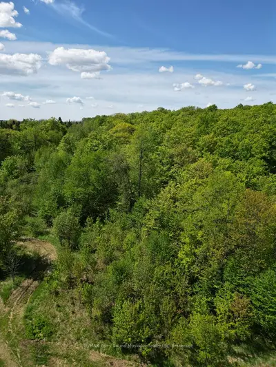 791-b Clear Lake Road, Parry Sound Remote Area, On P0h 1a0