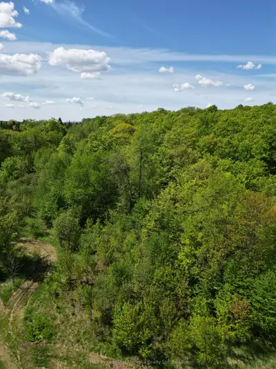 791-b Clear Lake Road, Parry Sound Remote Area, On P0h 1a0