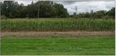 515 Park Avenue E, Chatham-Kent, ON N7M 5J4