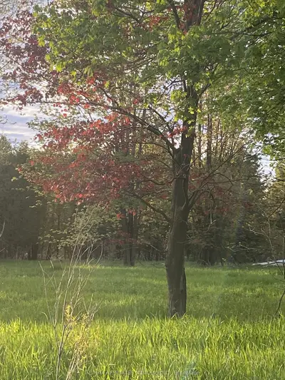 LOT Sapphire Drive, South Glengarry, ON K6H 7J1