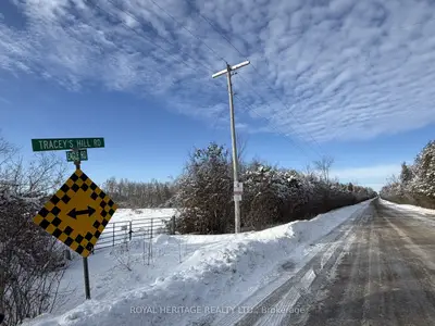 Traceys Hill Road, Kawartha Lakes, ON K9V 4R5