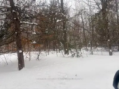 49 Cedar Sands Road, Rideau Lakes, ON K0E 1N0