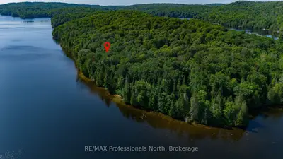 1484-1 West Oxbow Lake Road, Lake Of Bays, On P1h 2j6