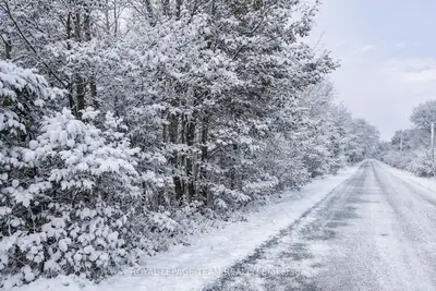 Lot 3 Old Highway 15 Road, Rideau Lakes, On K0g 1l0