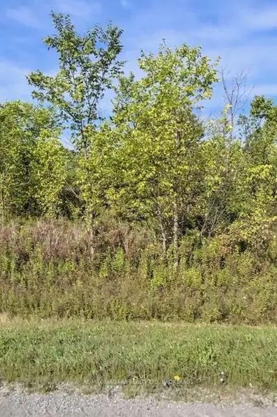 Lot 5 Montrose Road, Niagara Falls, On L3b 5n7