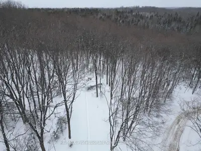 1579 Paynes Road, Highlands East, ON K0M 2Y0