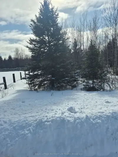 Pt Lot 6 Con 24 Cameron Road, Papineau-cameron, On P0h 1v0