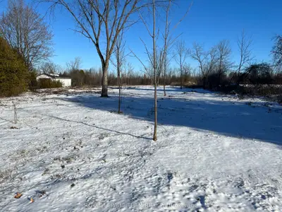 8645 Bank Street, Greely - Metcalfe - Osgoode - Vernon And Area, On K0a 3j0
