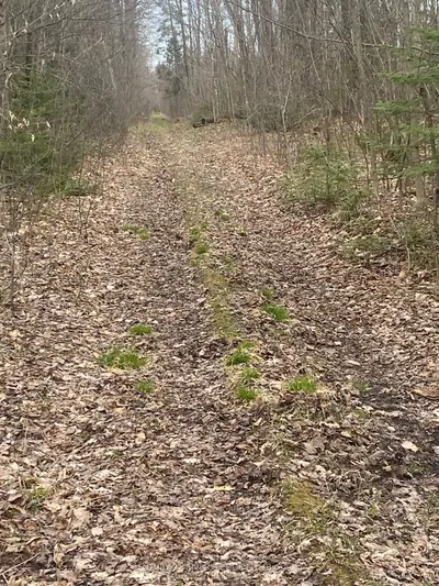 00 County Rd 44 Road, Edwardsburgh/cardinal, On K0e 1x0