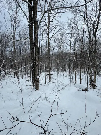 24.521 Acres 1/4 Lot 11 Conc 7, Northern Bruce Peninsula, ON, N0H 1W0