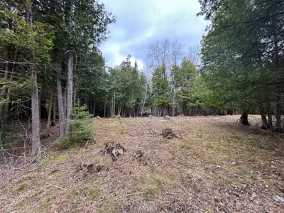 00 Snowdons Corners Road, Merrickville-wolford, On K0g 1n0