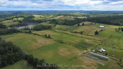 239 Concession 11w, Trent Hills, On, K0l 1y0
