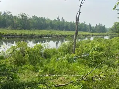 17556 Highway 62, Madoc, On K0k 2k0