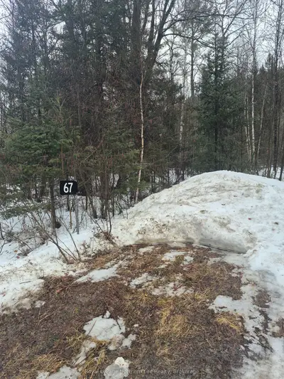 67 ARBUTUS Trail, Mattawan, ON P0H 1V0