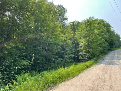 0 Coleman Lake Road, Dysart Et Al, On K0m 1s0