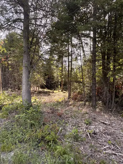 7110 Gallagher Road, Manotick - Kars - Rideau Twp And Area, On K0a 2t0
