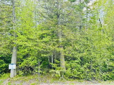 7110 Gallagher Road, Manotick - Kars - Rideau Twp And Area, On K0a 2t0