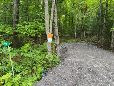 79 Pine Grove Road, Parry Sound Remote Area, ON P0H 1S0