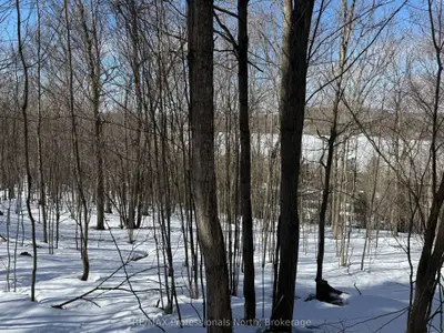 22 Walpole Street W, Huntsville, ON P1H 1V3