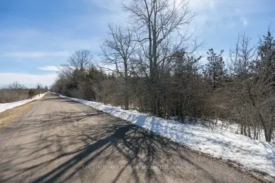 206 Simpson Road, Prince Edward County, On K0k 2p0