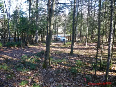 PCL 20438 & 29803 Upper Walker Lake Road, Lake of Bays, ON P1H 2J6